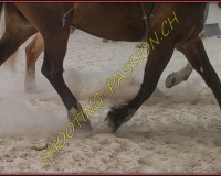 1AMAZONE- 0307